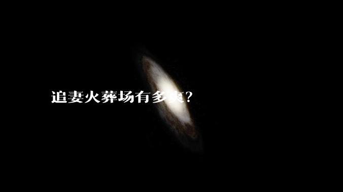 追妻火葬场有多爽？